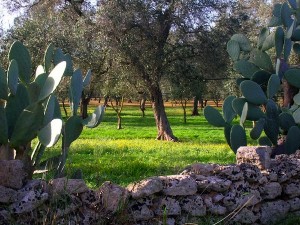 Campagna