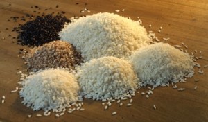 Tipi di riso