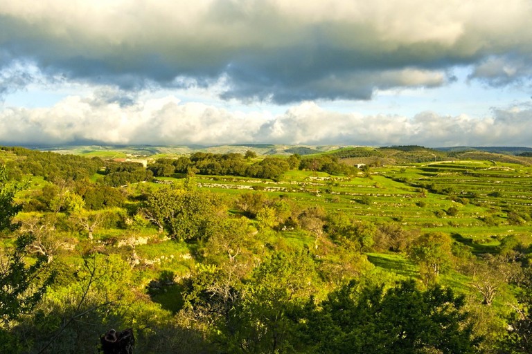 Dalla terra di Sicilia il libro che traccia il futuro dei giovani.