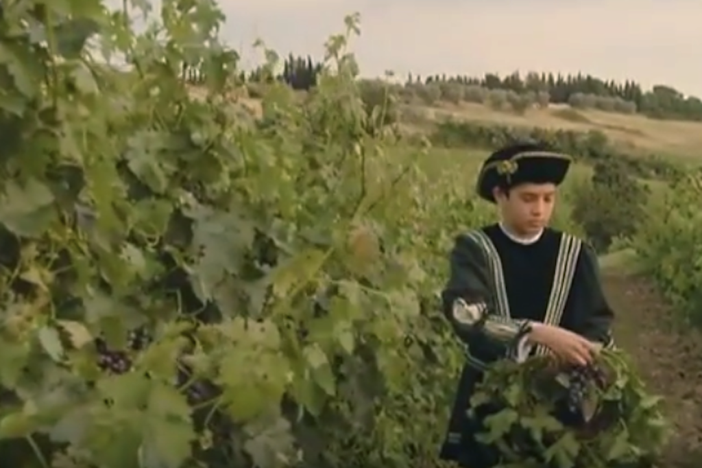 Vino italiano, cultura educazione al lavoro e tradizione.