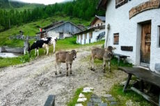 valle isarco