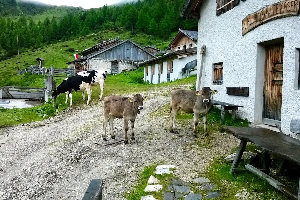 valle isarco