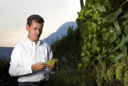 vendemmia 2016