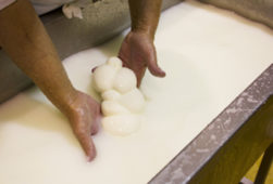 mozzarella di bufala