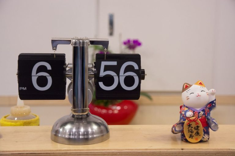 In viaggio col gatto. Le regole per volare con l’amico felino.