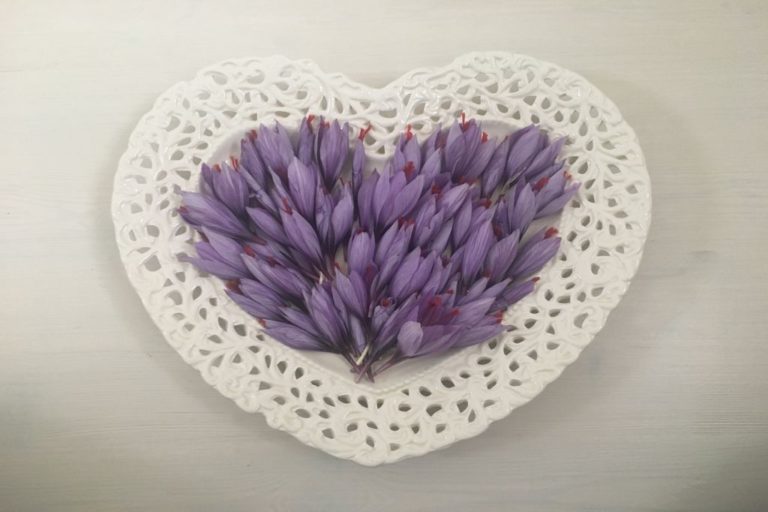 Zafferano Dolomiti, l’oro rosso dall’Oriente alle Alpi.