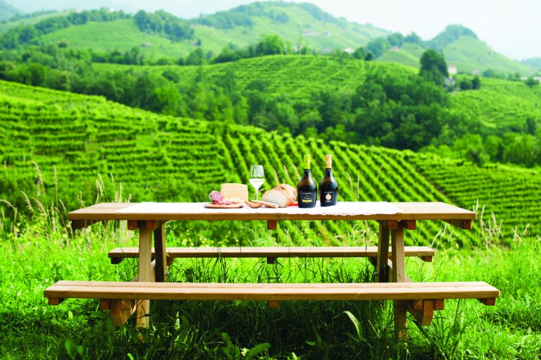 La Tordera, degustazioni in vigna nell’anno del Centenario.