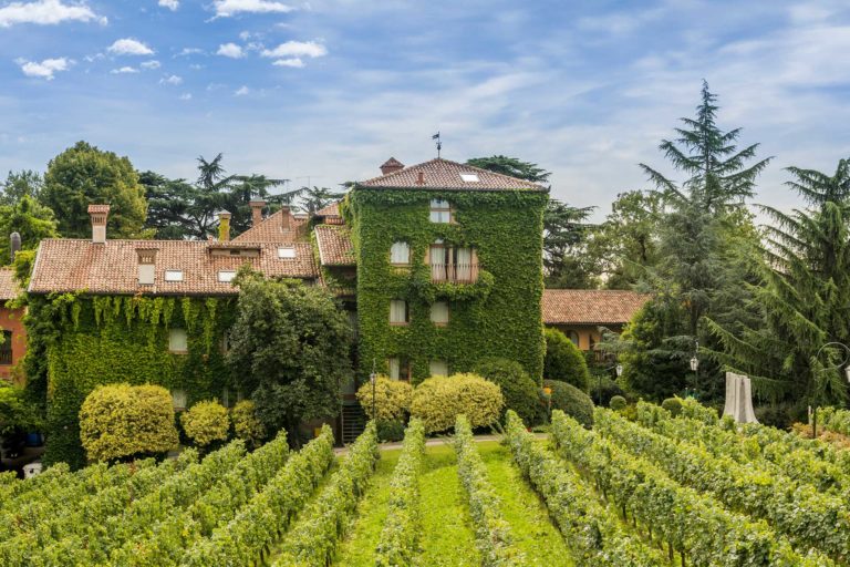 L’Albereta e l’Andana: le altre perle di Terra Moretti