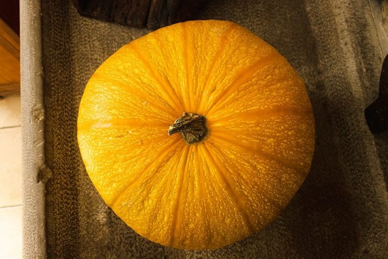 Slow Food, nuovi presidi in Friuli Venezia Giulia.