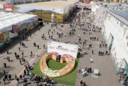 Vinitaly, veduta aerea