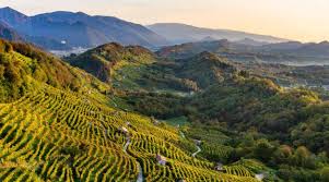 Colline di Valdobbiadene