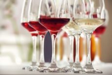 Enoforum,i vini della conoscenza