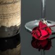 vino e psicologia