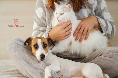 Pet Summit