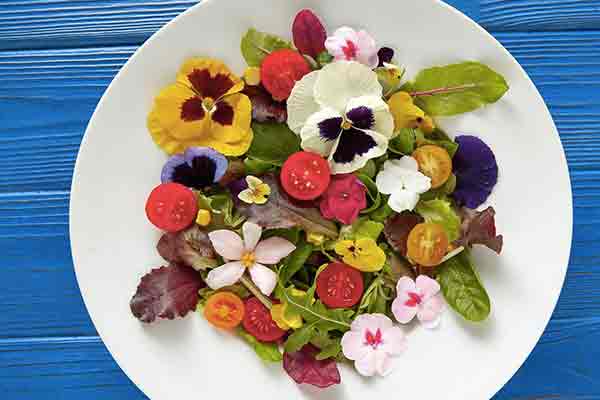 fiori eduli nel piatto 