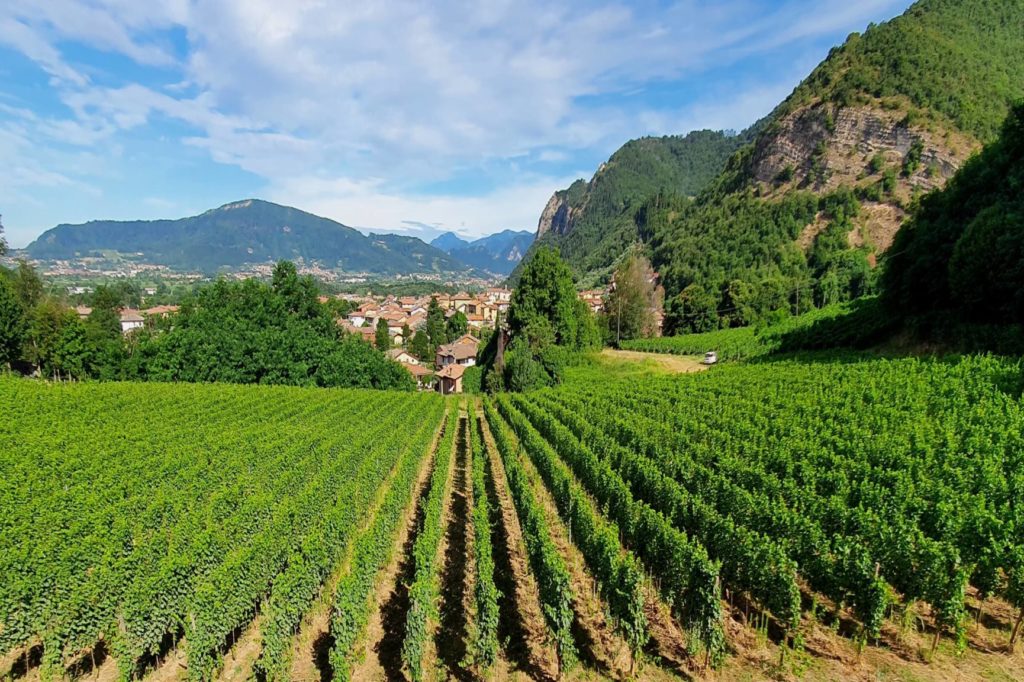 Vigneti Franciacorta 