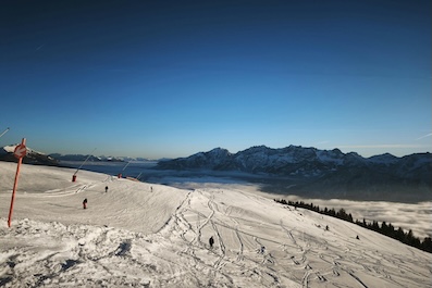 Dominik Paris, il re della pista Stelvio di Bormio a Milano-Cortina 2026