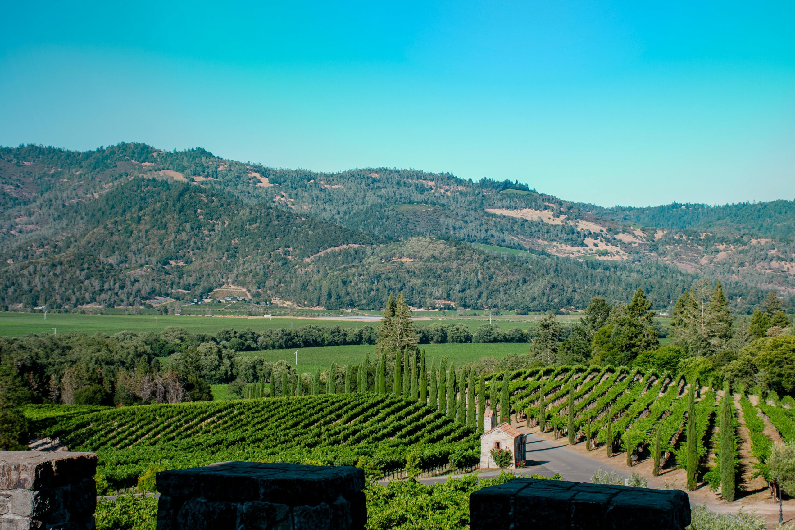 Napa Valley, esempio di enoturismo