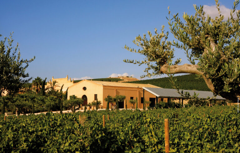 Donnafugata: il vino contemporaneo tra arte e racconto