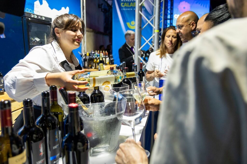 Il Sud che fa rete: il vino come progetto di territorio