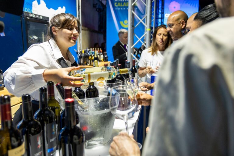 Il Sud che fa rete: il vino come progetto di territorio