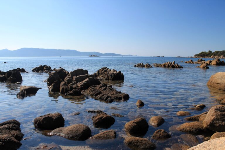Sull’Isola di Capraia la biblioteca del futuro