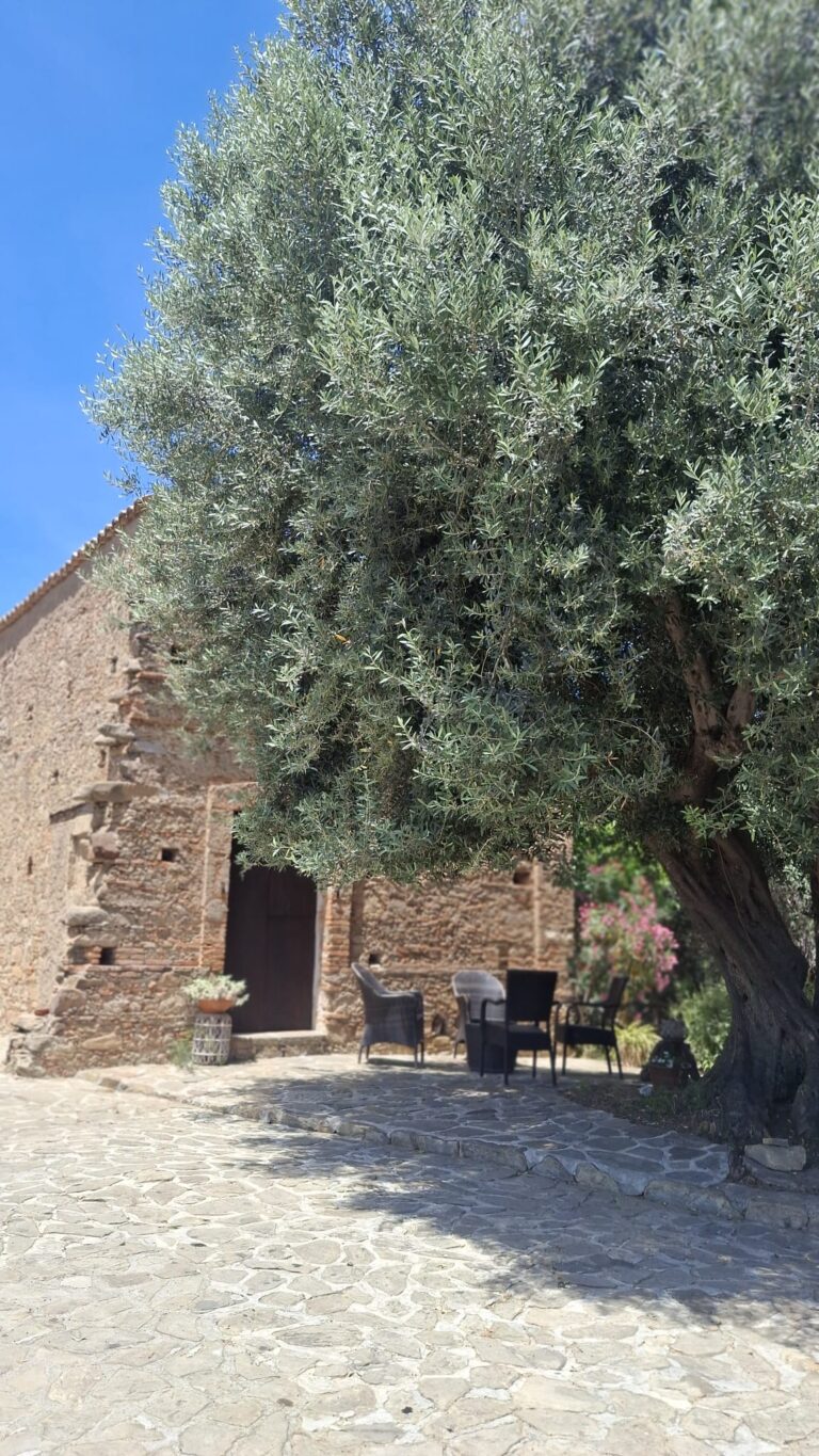 Agricola Silipetto, un’immersione nella Calabria più autentica