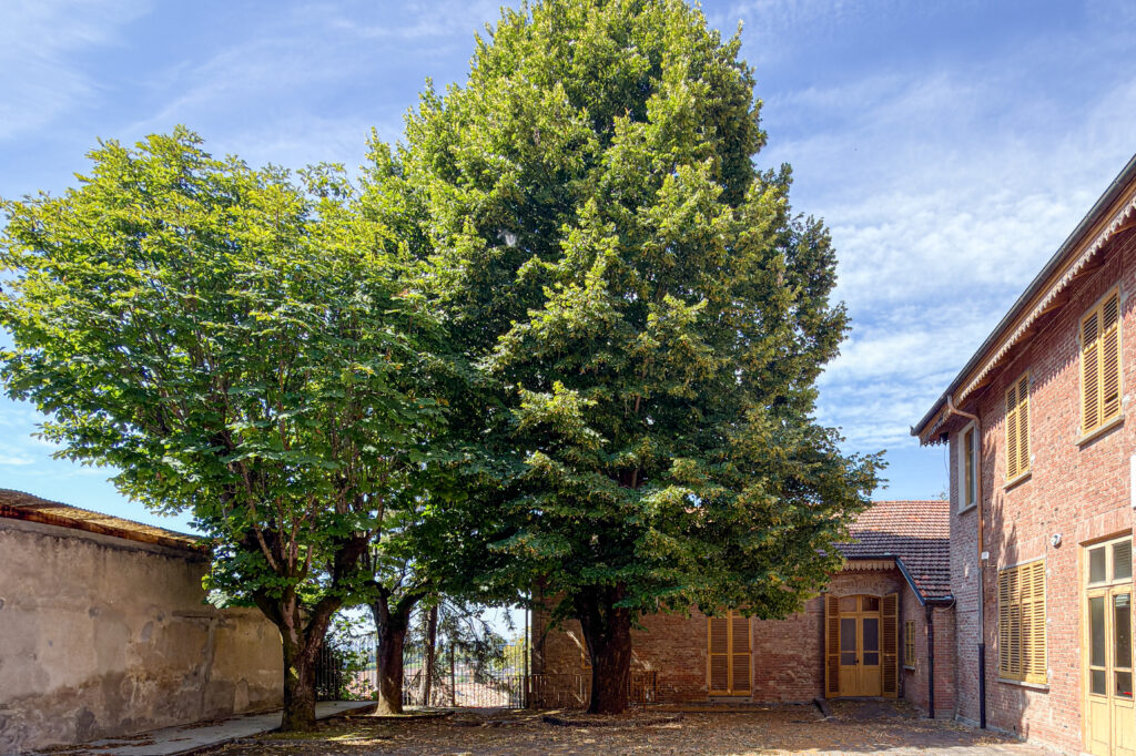 Germinale Monferrato Art Fest 2026: l’arte contemporanea riscopre il mare nascosto sotto le colline