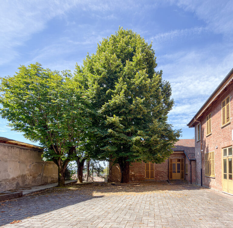 Germinale Monferrato Art Fest 2026: l’arte contemporanea riscopre il mare nascosto sotto le colline
