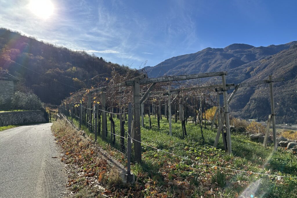 Balmetti di Borgofranco d’Ivrea: le cantine naturali dove la montagna respira