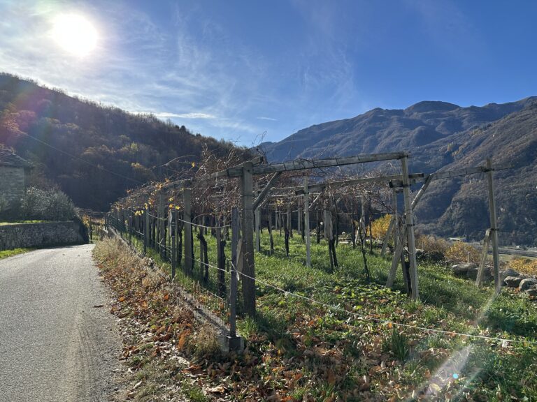Balmetti di Borgofranco d’Ivrea: le cantine naturali dove la montagna respira